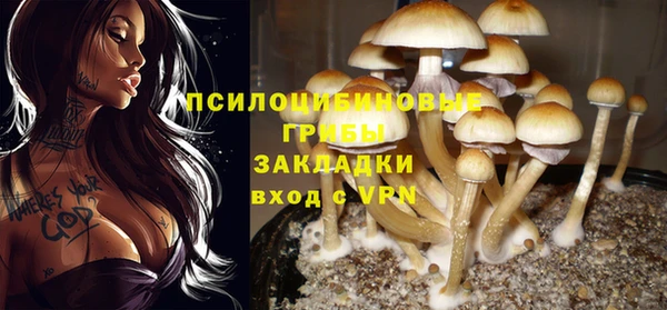 прущий лед Абаза