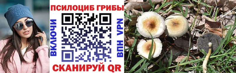 как найти закладки Тулун маркетплейс наркотические препараты Псилоцибиновые грибы прущие грибы