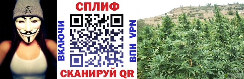 Марихуана LSD WEED  блэк спрут онион  Тулун 